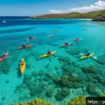 Home 18 세인트빈센트 그레나딘에서 카약 및 패들보드 체험 - A serene coastal scene featuring a small group of people paddling kayaks and stand up paddleboards i...