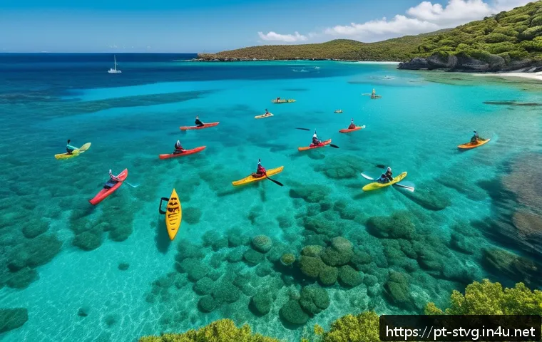 세인트빈센트 그레나딘에서 카약 및 패들보드 체험 - A serene coastal scene featuring a small group of people paddling kayaks and stand up paddleboards i...